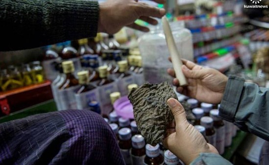 علاجات شعبية من جلد الفيلة تهدد ما تبقى من هذه الحيوانات في بورما