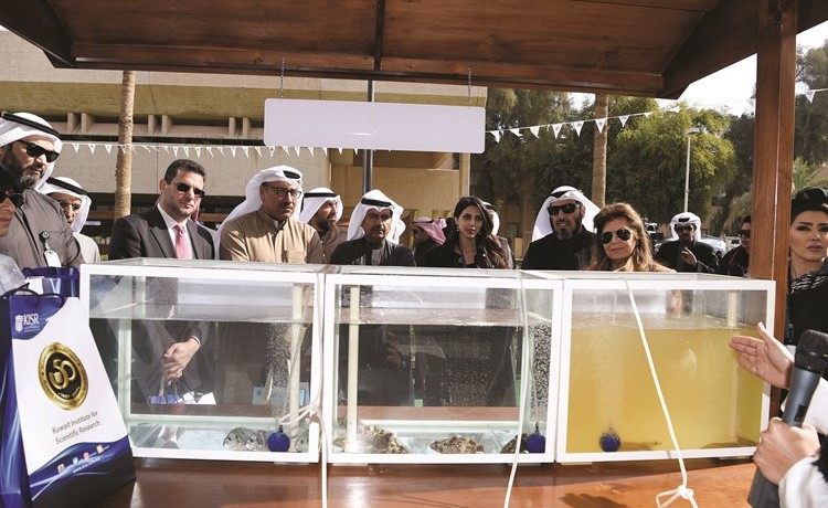 استزراع أسماك السبيطي والشعم والهامور من أبرز المنتجات في المعهد﻿