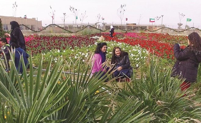 حديقة الزهور في القرية﻿