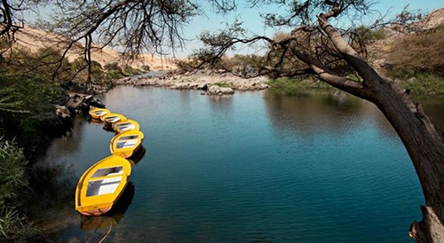 بالفيديو والصور .. «أناكاتو».. تجربة فريدة للحياة في بلاد الذهب