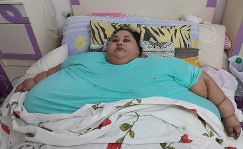بالصور.. هكذا نقلوا فتاة مصرية تزن نصف طن للهند