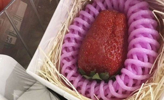 هذه أغلى حبة فراولة لعيد الفالنتاين