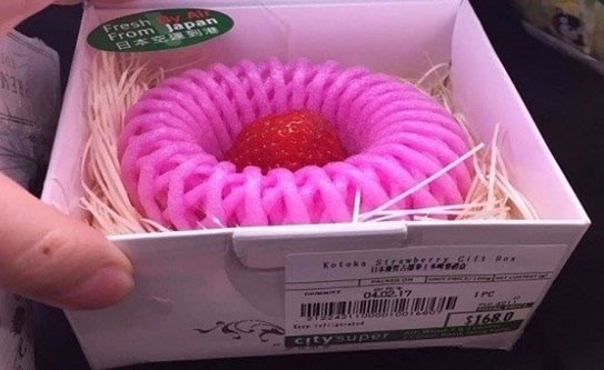 هذه أغلى حبة فراولة لعيد الفالنتاين
