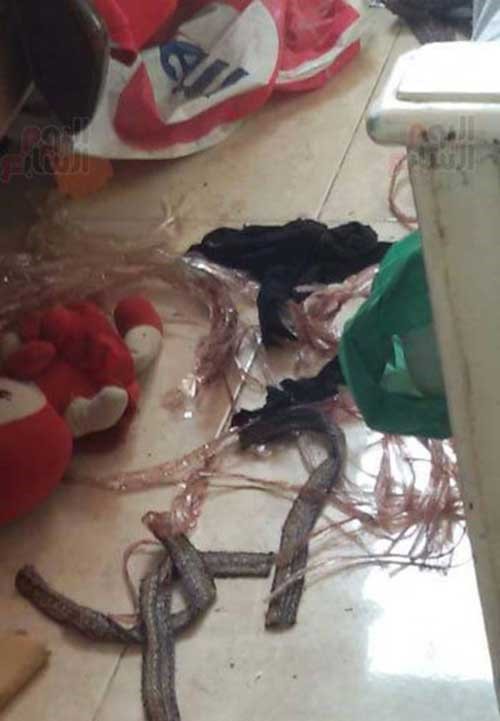 بالفيديو جريمة مروّعة ..  اغتصاب جماعي لسيدة عربية أمام زوجها وأولادها