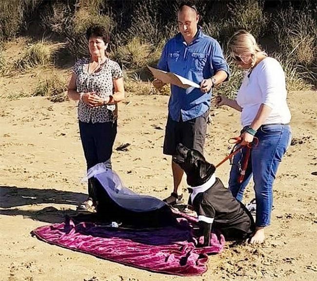 امرأة تحقق قائمة من الأمنيات لكلبها قبل أن يفارق الحياة