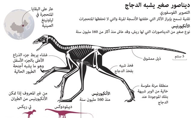 ديناصورات بالريش تشبه الطيور!