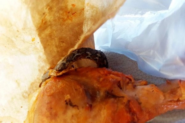 بالصور.. شاهد.. ماذا وجد مواطن سعودي داخل دجاجة مطبوخة اشتراها من أحد المطاعم في السعودية!