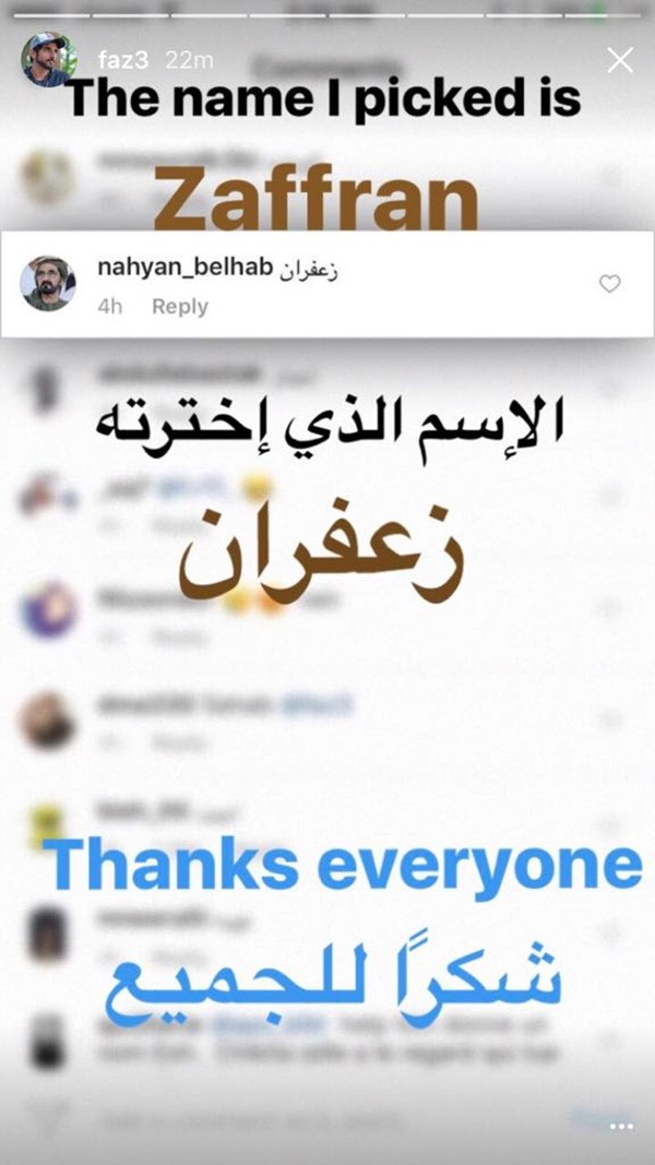 بالفيديو.. نصف مليون مشاهدة لفيديو ولادة زرافة ولي عهد دبي