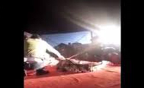 حاول المدرب ادخال رأسه في فك التمساح.. وما حدث بعدها مخيف!