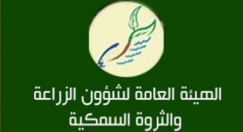 "الزراعة": إجراءات قانونية سريعة ضد ممارسات الاحتكار والمخالفين