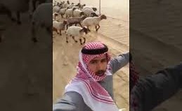 بالفيديو..خليجي أراد التقاط "سيلفي" لكن كانت تنتظره مفاجأة!