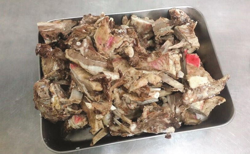 «طوارئ التجارة» تضبط نصف طن لحوم معدة للبيع في مطعم مشهور بحولي