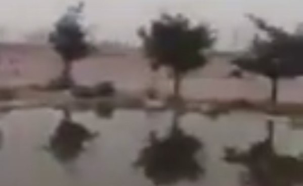 بالفيديو.. شخص يصنع بُحيرة ويحيطها بأشجار وغلال لإطعام الطيور والحيوانات.. ومغردون يبدون إعجابهم