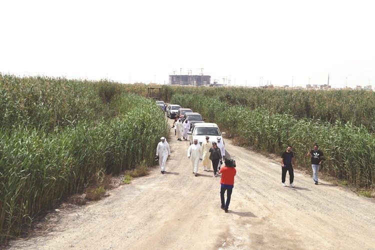من الجولة داخل المحمية﻿