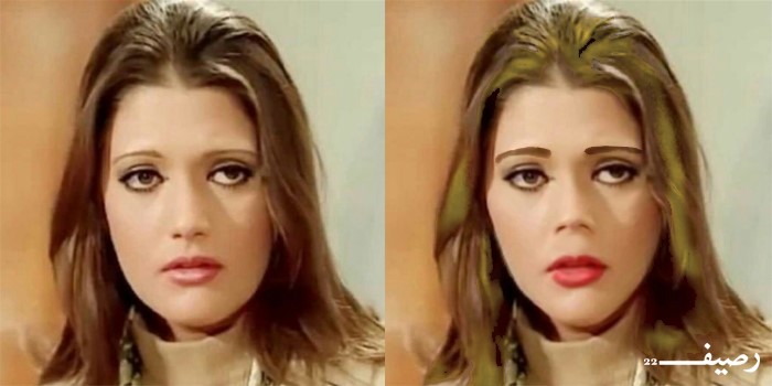 شمس البارودي 