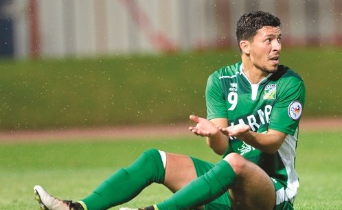 العبكل: «الأخضر» كسب الثقة