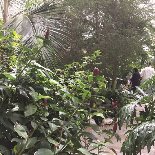 حديقة قصر بيان.. تحفة فنية ومقصد للضيوف