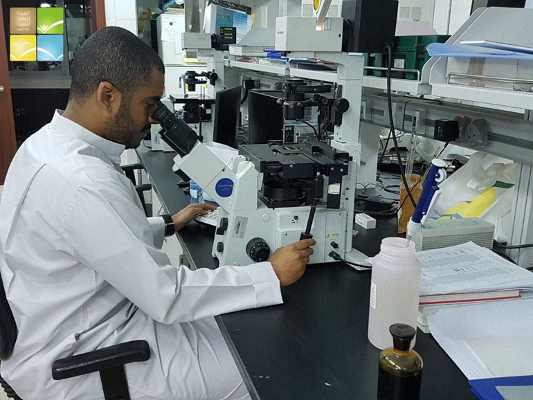 البيئة: بقعة ميناء (الشويخ) ترجع إلى ازدهار هوائم نباتية ضارة