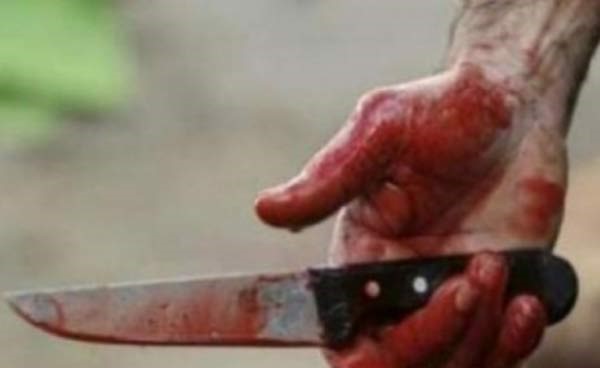 ناقشته والدته في مستقبله فقتلها ووضعها في الفريزر!