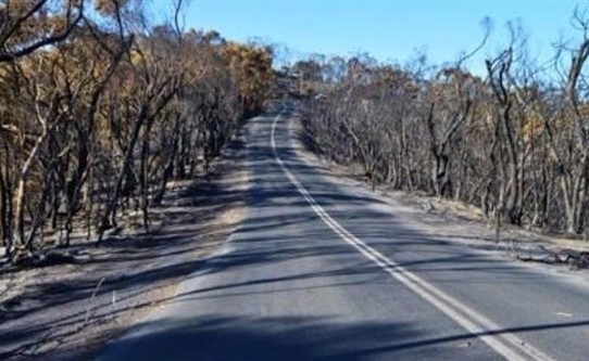أستراليا: توقيف صبي عمره 12 عاماً اجتاز 1300 كيلومتر بسيارته