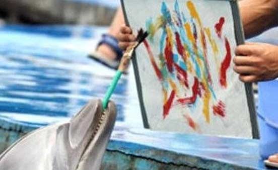 ما الجمال الغريزي الذي يحكم علاقة ذكور وإناث الحيوانات؟