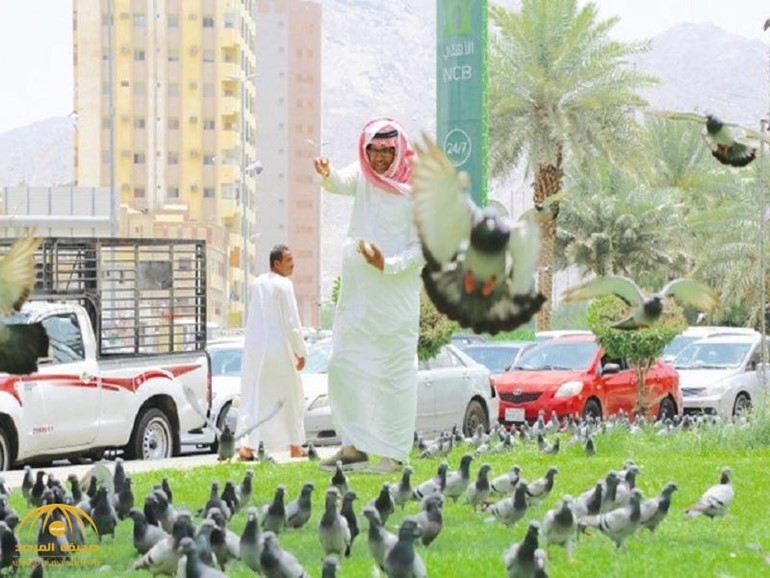 "قتله يستوجب فدية".. هل فكرت يومًا.. من أين يأتي "حمام الحرم المكي" وما قصته؟
