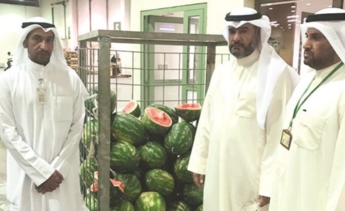 جانب من الحملة في شبرة الصليبية﻿