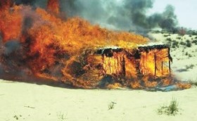 قبائل سيناء مستمرة في مطاردة الإرهابيين وحرق عششهم ﻿