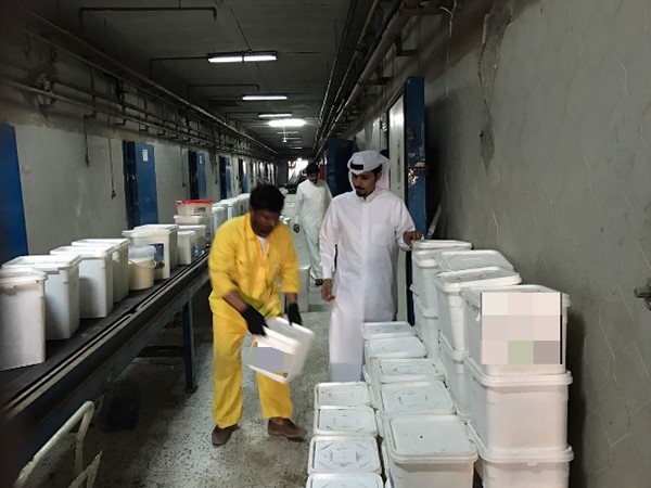 إتلاف 6 طن و750 كيلوغراماً من المواد الغذائية الفاسدة في "العاصمة"