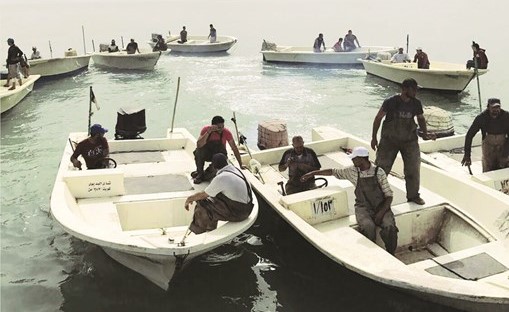 الصيادون يسهمون في تنظيف البحر من الأسماك النافقة﻿