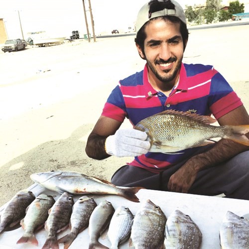 النامي: الهامور والبالول بالطبعانات