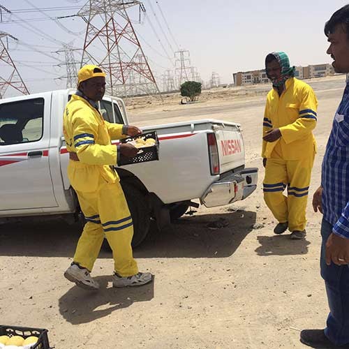 رفع 126 درباً من المخلفات و5 سيارات مهملة في "مبارك الكبير"
