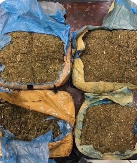 ضبط آسيوي حاول تهريب 3 كيلوغرام "ماريجوانا" في كرتون فاكهة