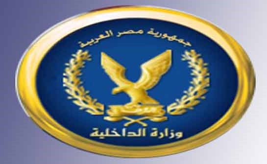 تفعيل «نظام الشباك الواحد» للقضاء على الروتين للمصريين بالخارج