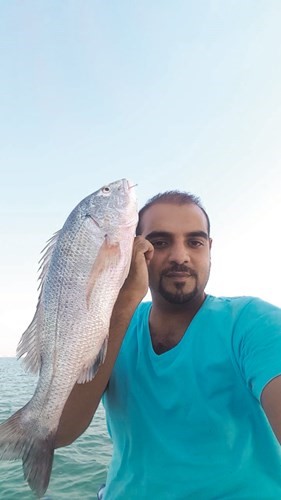 عبدالعزيز القطان: الهامور يضرب على المحاياة بـ «يوليو»