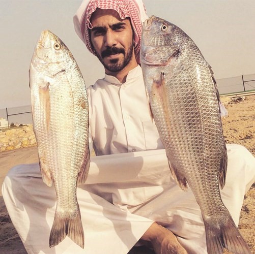 عبدالعزيز القطان: الهامور يضرب على المحاياة بـ «يوليو»