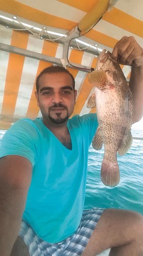 عبدالعزيز القطان: الهامور يضرب على المحاياة بـ «يوليو»