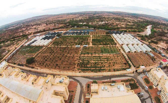 العتيبي: «خيرات».. مزارع تنموية يصرف من ريعها على الأيتام وطلبة العلم والفقراء
