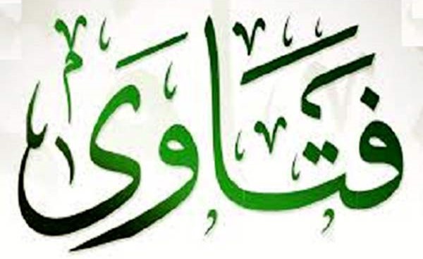 فتاوى