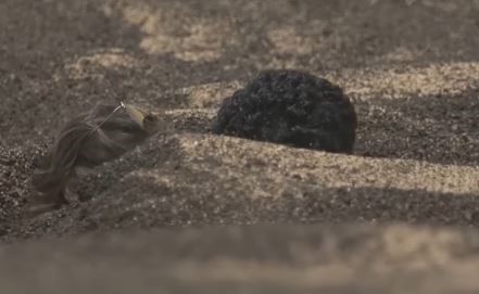 بالفيديو.. مقلب رامز جلال يُبكي حمدي الميرغني