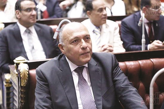 وزير الخارجية سامح شكري في مقدمة الحضور﻿
