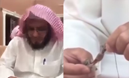 بالفيديو.. مواطن سعودي يتفاجأ بعصفور صغير هزيل في منزله وعند الامساك به شاهد ماذا وجد في فمه ؟!
