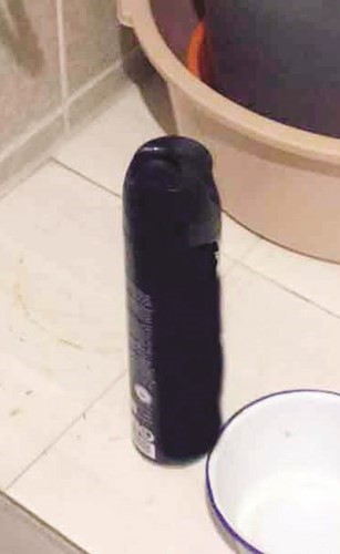  ﻿المبيد الحشري الذي أودى بحياة الطفلين﻿