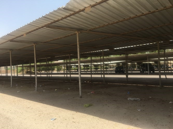  مواقف التربية بلا سيارات ﻿