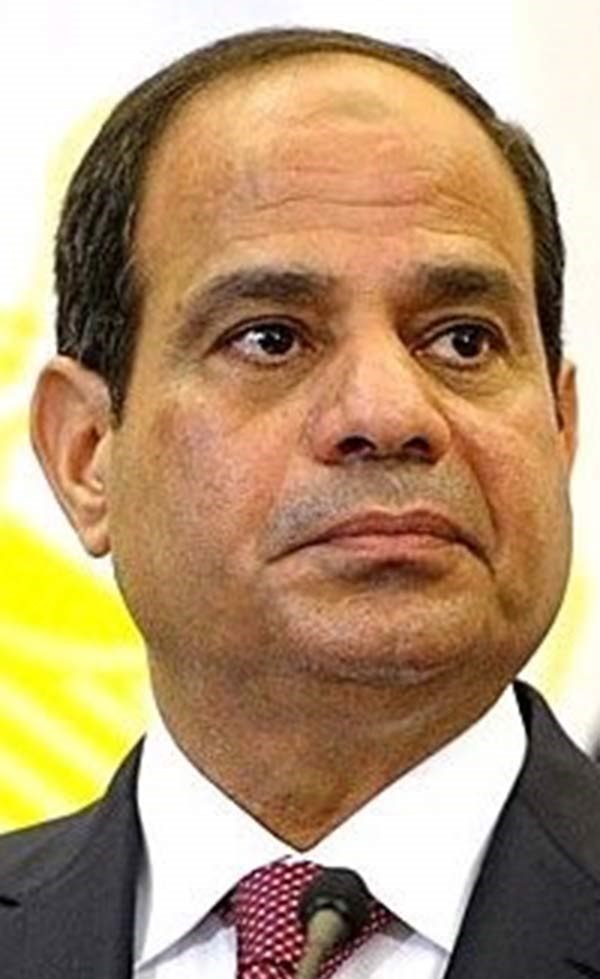 السفارة المصرية تنقل تهنئة الرئيس السيسي لأبناء الجالية بعيد الفطر