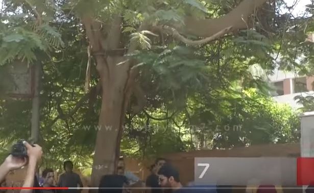 بالفيديو.. مشاجرة بين طلاب أمام مدرسة  في مصر والأمن يضبط طالبين