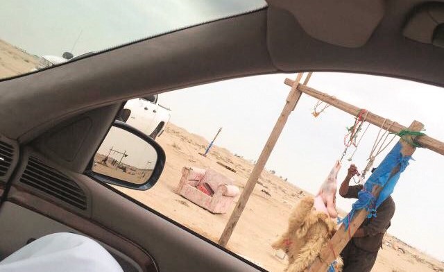 ذبح في الهواء الطلق﻿