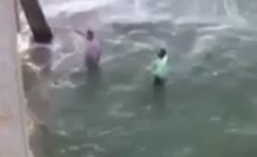 بالفيديو.. سمكة قرش تباغت متطفلا بعضة دامية
