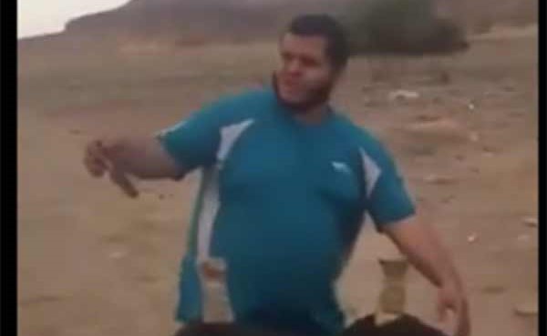 بالفيديو.. موقف طريف لجمل يفشل في النهوض بشاب بدين!