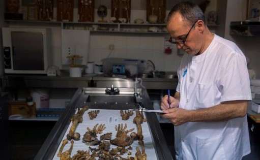 بالصور.. اكتشاف أدمغة بشرية حافظت عليها الطبيعة لثمانية عقود بمقبرة إسبانية